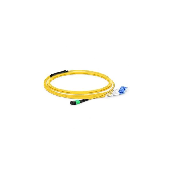 neutral-ampof-1m-4lc-d-g-652d-8c-3r-2r-a-fo0-6-l-1.webp