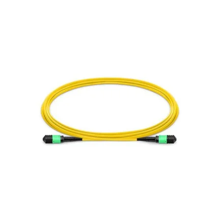 Neutral-AMPOF-L-1M-AMPOF-L-G-652D-12C-3R-A-L, AMPOF Series Fiber Patch Cord, 1M length/12 cores G.652D/0.35dB IL